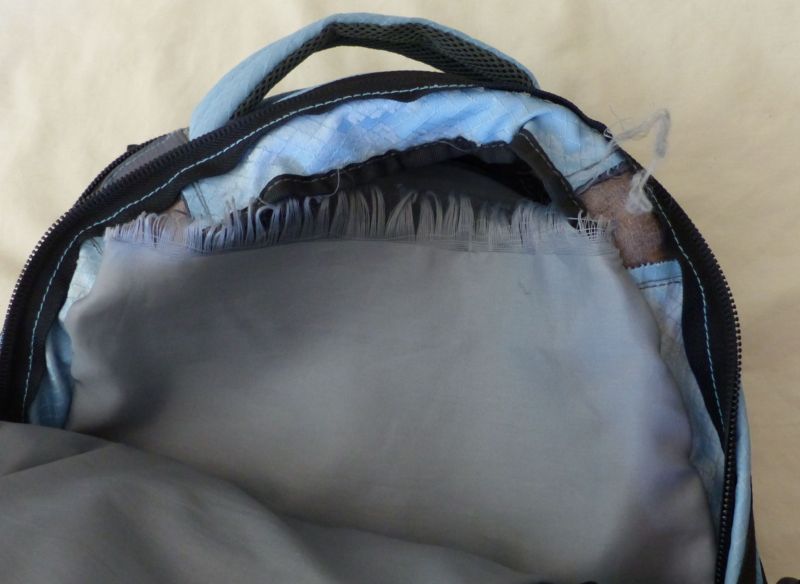 main
  compartment