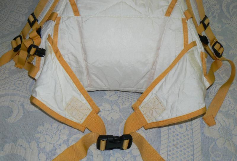 mistral hip