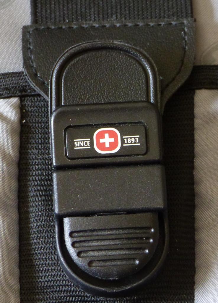 swiss 6