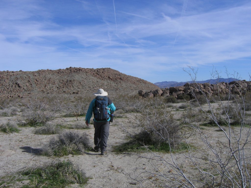 walking